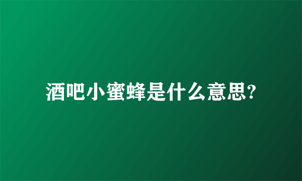 酒吧小蜜蜂是什么意思?