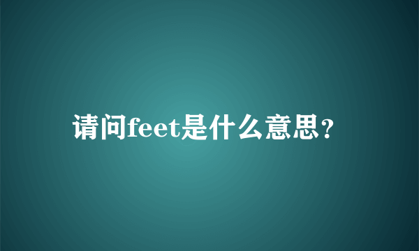 请问feet是什么意思？