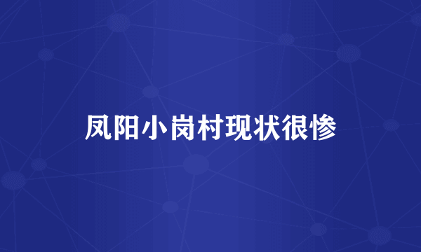 凤阳小岗村现状很惨