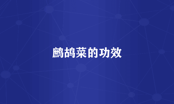 鹧鸪菜的功效
