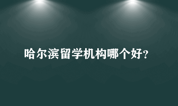 哈尔滨留学机构哪个好？
