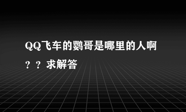 QQ飞车的鹦哥是哪里的人啊？？求解答