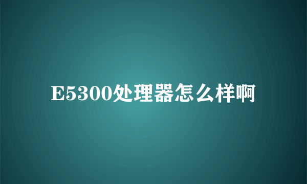 E5300处理器怎么样啊