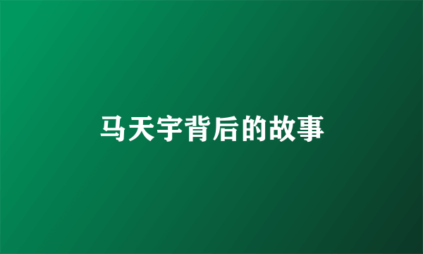 马天宇背后的故事