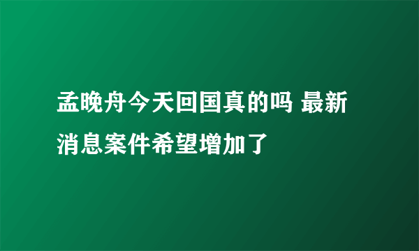 孟晚舟今天回国真的吗 最新消息案件希望增加了
