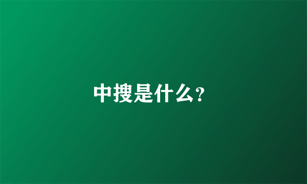 中搜是什么？