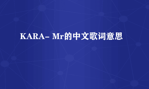 KARA- Mr的中文歌词意思