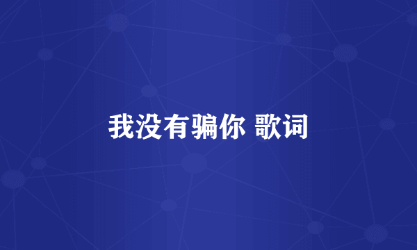 我没有骗你 歌词