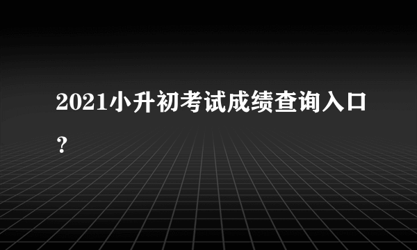 2021小升初考试成绩查询入口？