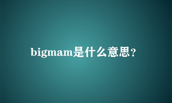 bigmam是什么意思？