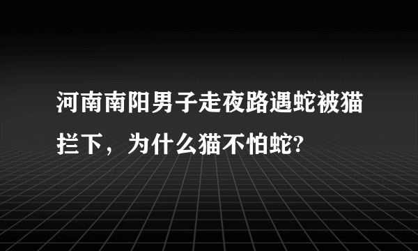 河南南阳男子走夜路遇蛇被猫拦下，为什么猫不怕蛇?