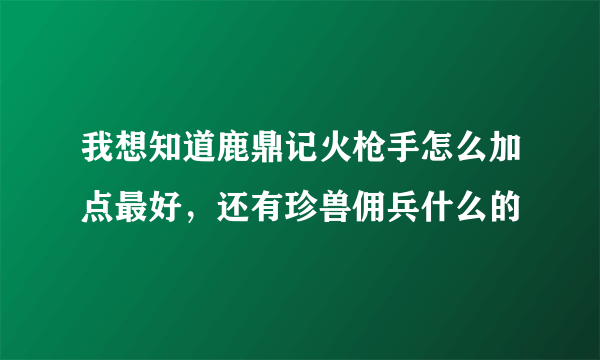 我想知道鹿鼎记火枪手怎么加点最好，还有珍兽佣兵什么的