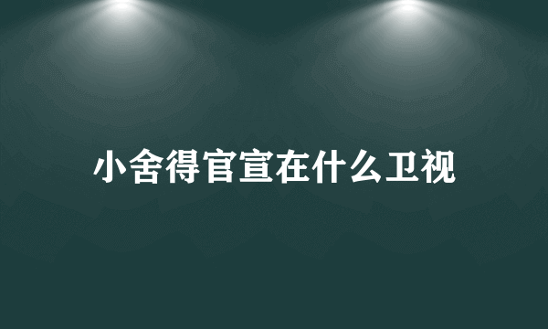 小舍得官宣在什么卫视