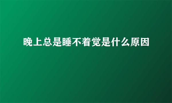 晚上总是睡不着觉是什么原因