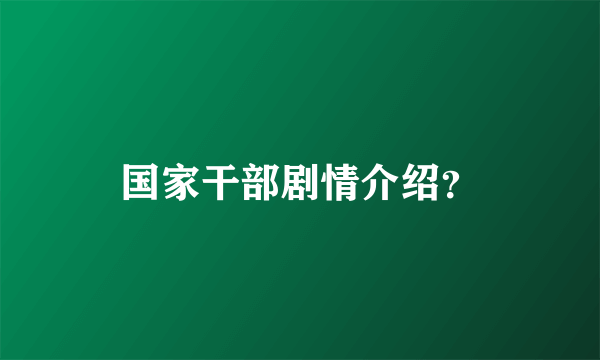 国家干部剧情介绍？