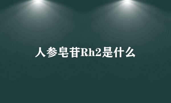 人参皂苷Rh2是什么
