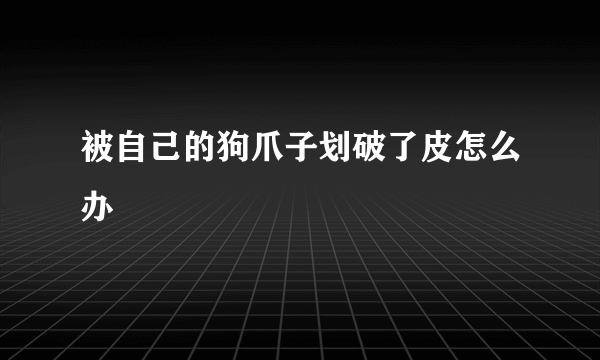 被自己的狗爪子划破了皮怎么办