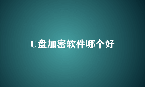 U盘加密软件哪个好