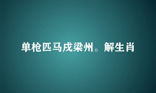 单枪匹马戌梁州。解生肖