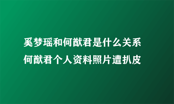 奚梦瑶和何猷君是什么关系 何猷君个人资料照片遭扒皮