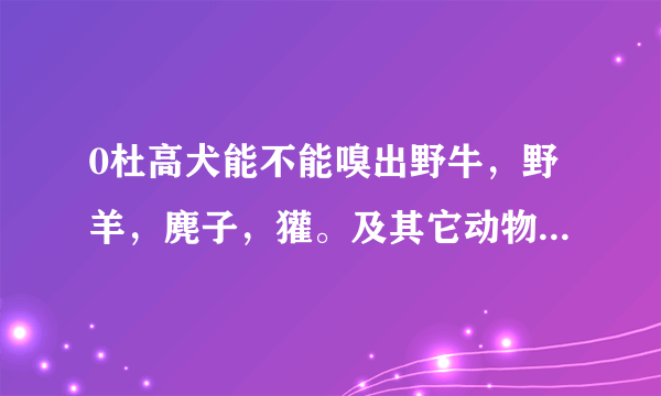 0杜高犬能不能嗅出野牛，野羊，麂子，獾。及其它动物的骚味 ，在大山上打猎适合吗？