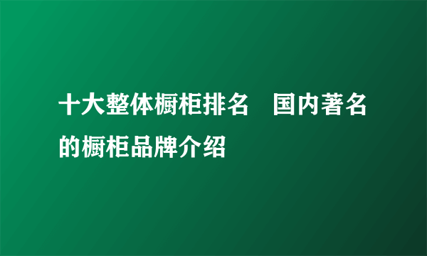 十大整体橱柜排名   国内著名的橱柜品牌介绍