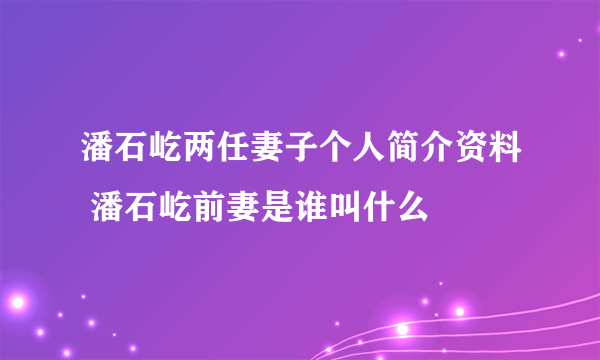 潘石屹两任妻子个人简介资料 潘石屹前妻是谁叫什么
