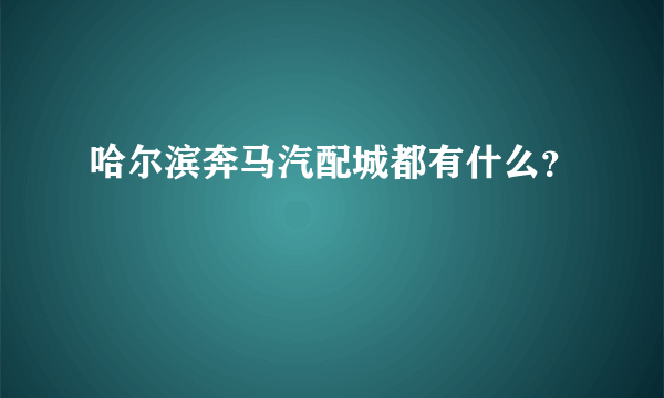 哈尔滨奔马汽配城都有什么？