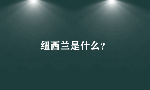 纽西兰是什么？