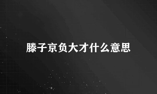 滕子京负大才什么意思