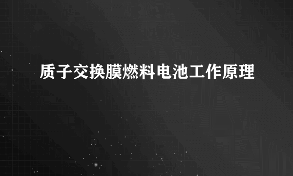 质子交换膜燃料电池工作原理