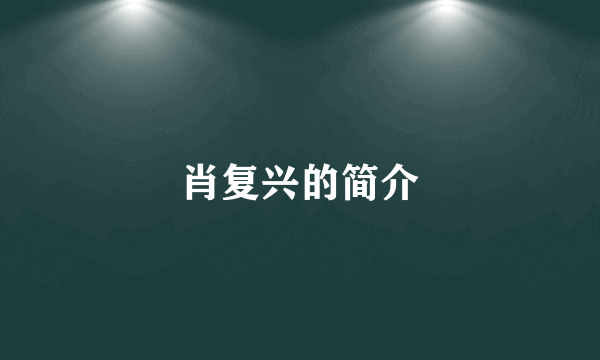肖复兴的简介