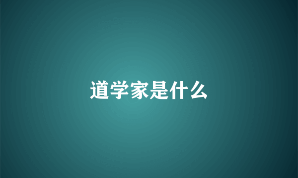 道学家是什么