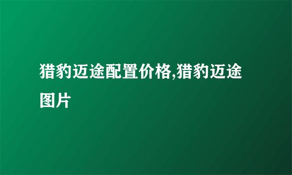 猎豹迈途配置价格,猎豹迈途图片