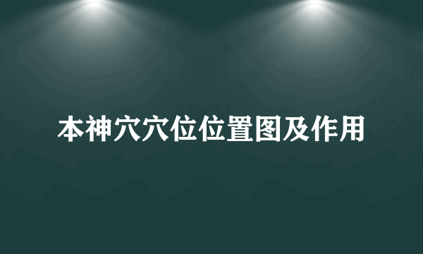 本神穴穴位位置图及作用