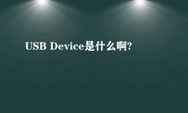 USB Device是什么啊?