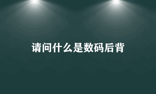 请问什么是数码后背