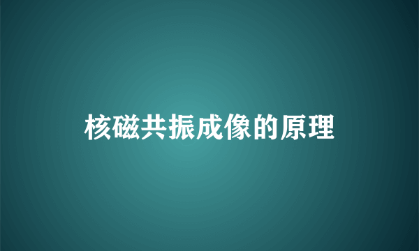 核磁共振成像的原理