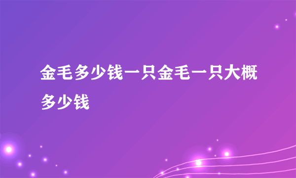 金毛多少钱一只金毛一只大概多少钱