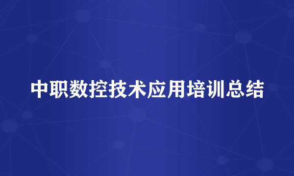 中职数控技术应用培训总结