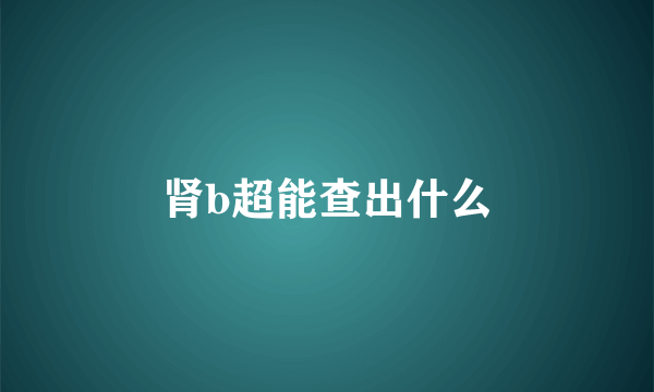 肾b超能查出什么