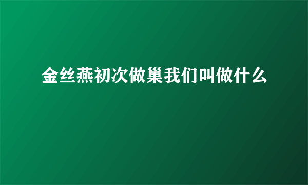 金丝燕初次做巢我们叫做什么