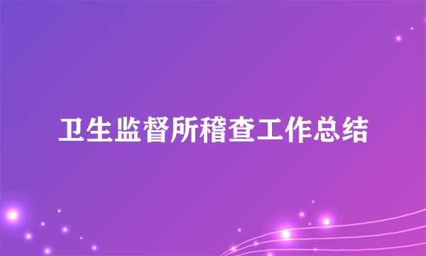 卫生监督所稽查工作总结