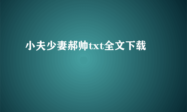 小夫少妻郝帅txt全文下载