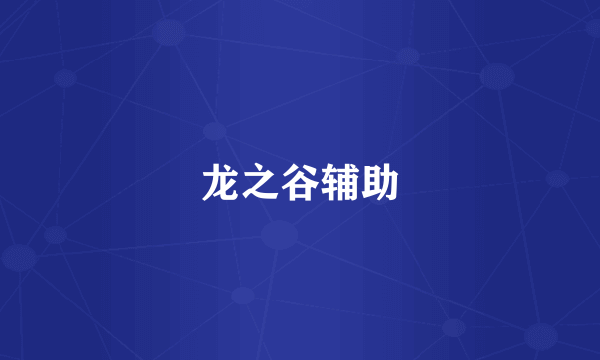 龙之谷辅助