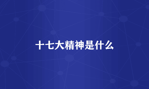 十七大精神是什么