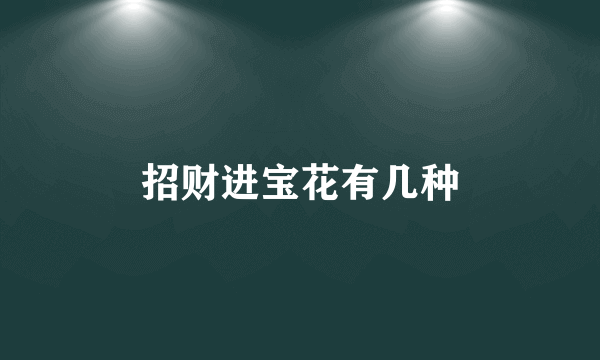招财进宝花有几种