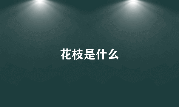 花枝是什么