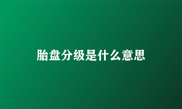 胎盘分级是什么意思