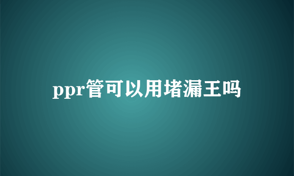 ppr管可以用堵漏王吗